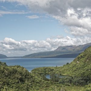 North Island Magic