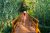 Active Nature Tour in Croatia